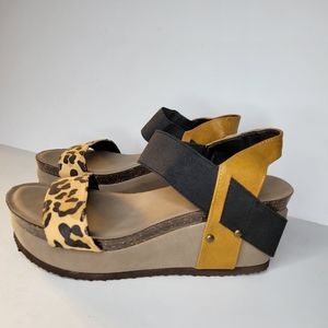 Hokus pokus shoes website Clearance